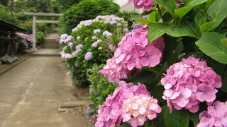 あじさいの隠れた名所