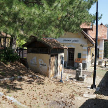 ライフ・イズ・ミラクルのルカの家