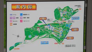 植物園が有って夏休みの宿題の題材として、子供たちに大変、人気が有ります