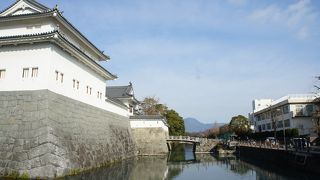 徳川秀忠に将軍職を譲った家康が隠居して居城とし、院政を敷いたのはあまりにも有名です