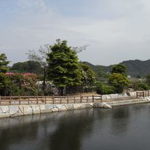 川？堀？を渡ったところにもバラは咲いてます