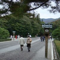 この旅館に宿泊した翌日に参拝した伊勢神宮の参道