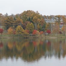 湖面に映る木々が、水面の静けさを教えてくれます