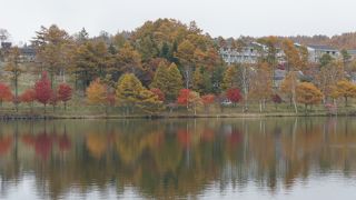 徒歩で1周お散歩がオススメ