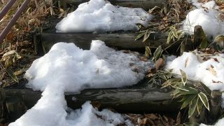 雪の湿原の中に曲がりくねった川面