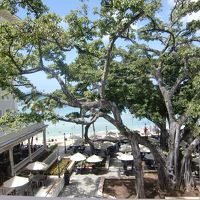 お部屋からの眺望