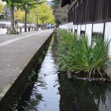 あやめが咲くころも奇麗でしょうね！