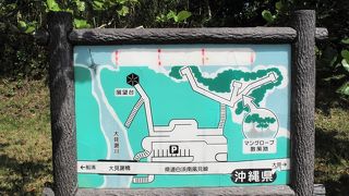 マングローブの散策路、ドライブ途中に是非！