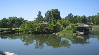 岡山後楽園の沢の池です。