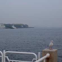 海に面した公園です