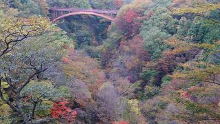 紅葉の季節に是非