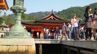 修理中の大鳥居