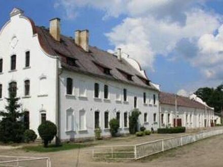 Moszna Apartments 写真