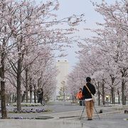 安藤忠雄が設計した桜の公園
