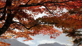 湖畔の遊歩道がとても素敵