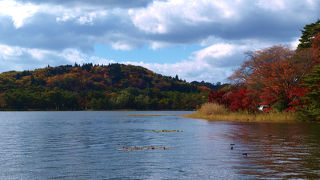庶民的な美しい公園