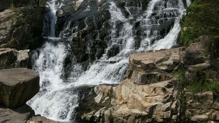 人工物が目に付くのがやや難