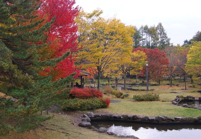 紅葉がきれいな公園です