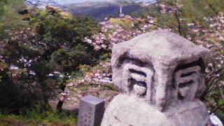 雄大な展望を楽しめるお寺