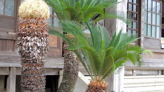 日米下田条約が締結された場所♪