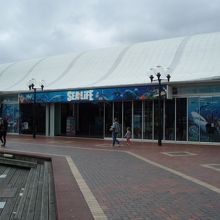 中は小さいので過大評価しないように！