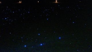 ライトアップに工夫あり。