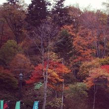 秋には紅葉見事な山間に位置します