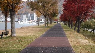 かりんの小路は紅葉がきれい