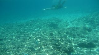 気軽に行ける離島