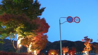 河口湖紅葉祭り！