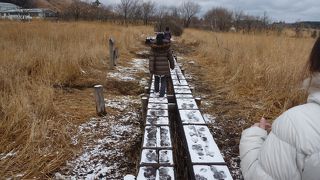 ウォーキングコースが気持ち良い