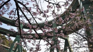 河津七滝ループ橋