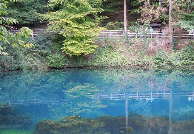 シュヴァーベン地方の美しい泉