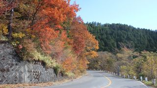 もみじライン　　もみじが美しい
