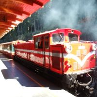 登山鉄道の阿里山山頂駅、切符はなかなか取れません。