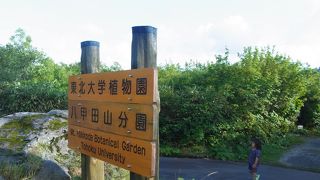 酸が湯温泉のついでに行けます