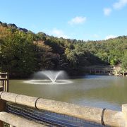 水族館や動物園があります