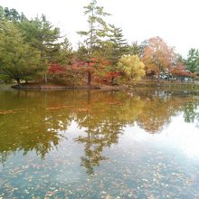 東大寺前の鏡池
