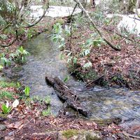 小川のせせらぎ