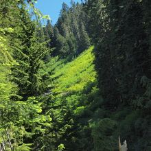 トレイルの景色