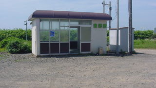 みんなビワハヤヒデに会いにやってくる