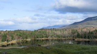 熊がでるかも？