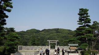 その大きく立派さに圧倒されてしまいました