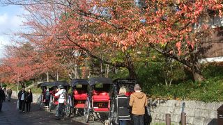 ひらけた散歩道
