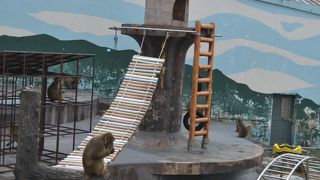 しょぼくてレトロ、そこがいい