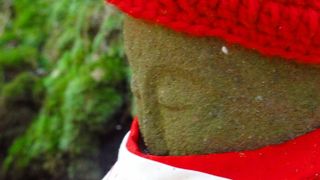 数十万基とも言われるこけむした石塔が立ち並ぶ様は見事です。