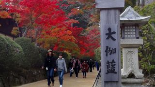 壇上伽藍の紅葉の時期の絶景ポイント