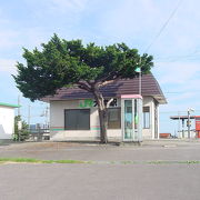 広い構内が北海道らしい