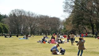 大好きな公園！！