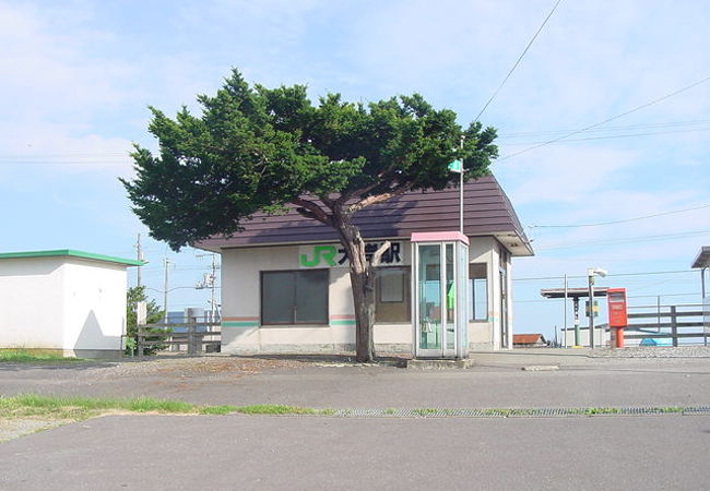 広い構内が北海道らしい